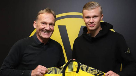 与冬窗天然 与冬窗天然