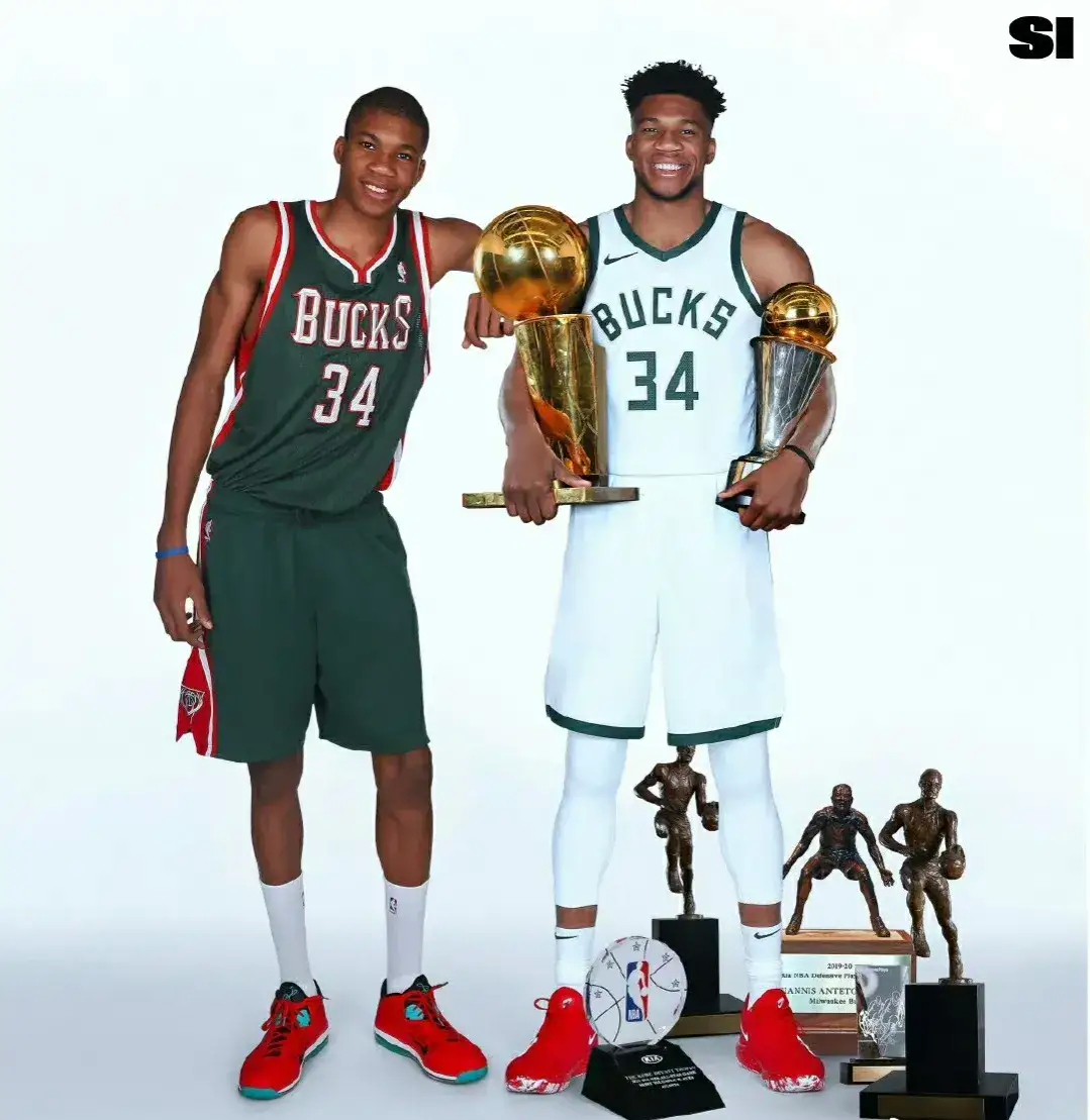 被拖入混战 被拖入混战